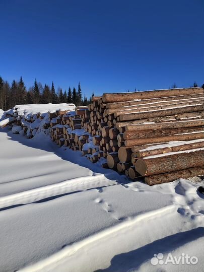 Продам круглый лес