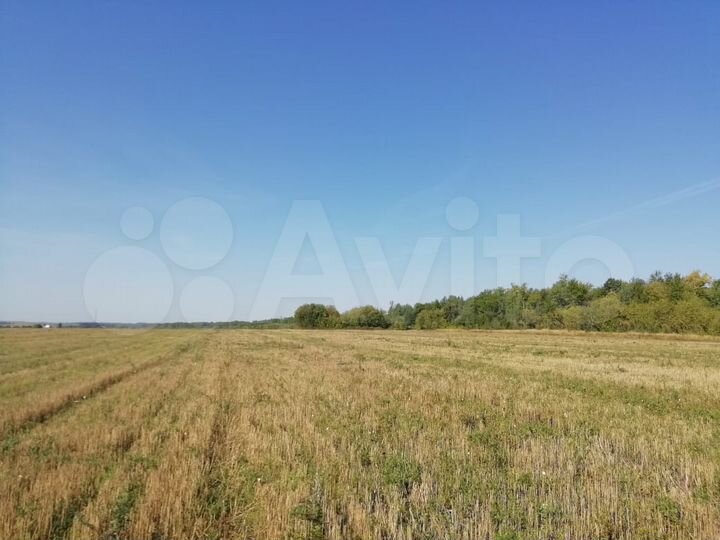 Участок 1,28 га (СНТ, ДНП)