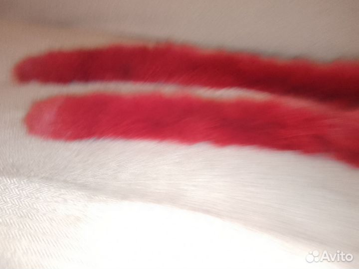 Воротники меховые