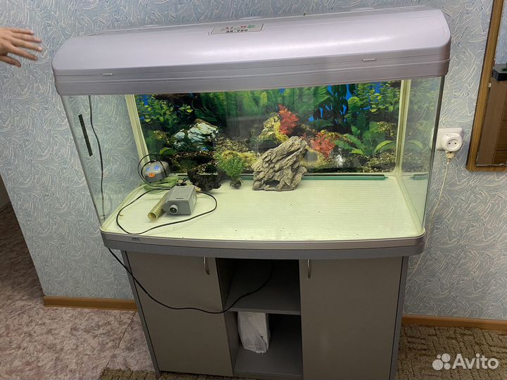Аквариум