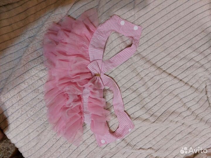 Одежда для собак