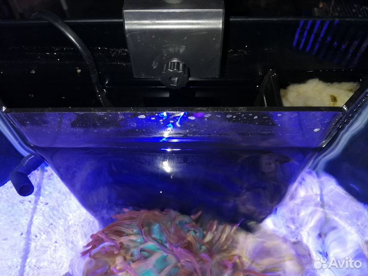 Морской аквариум (миник)