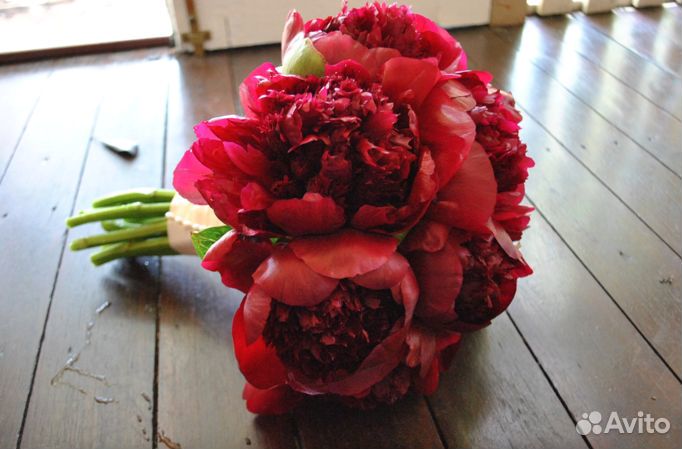 Пионы букет опт