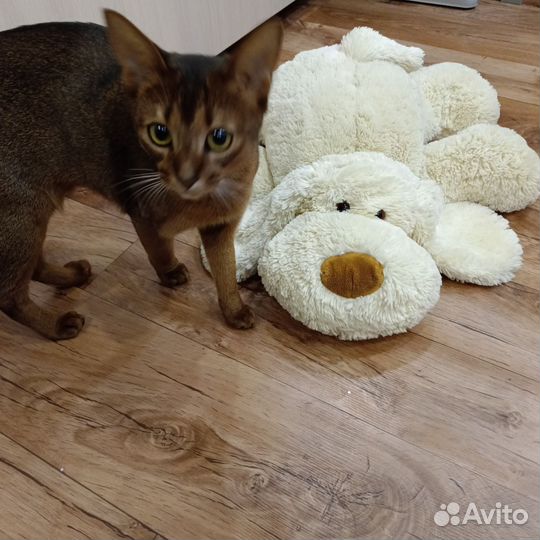 Мягкие игрушки