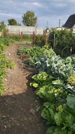 Дача 20 м² на участке 4 сот.