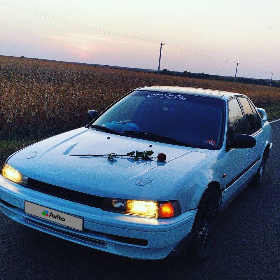 Honda Accord: фото владельца