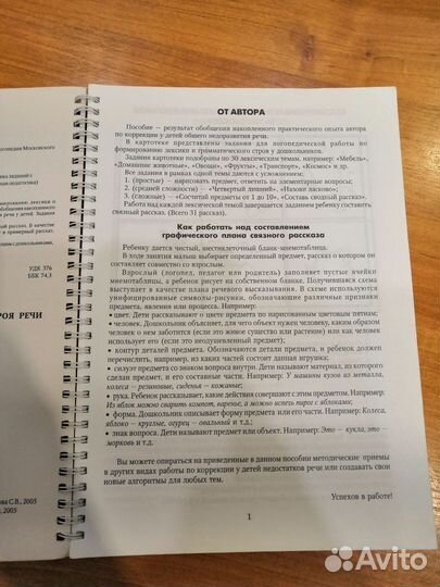 Развитие лексики и грамматического строя речи