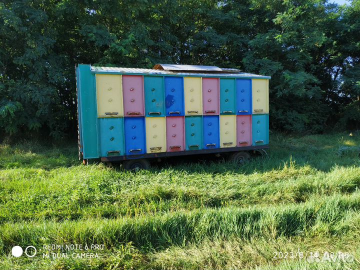 Пчелопавильон