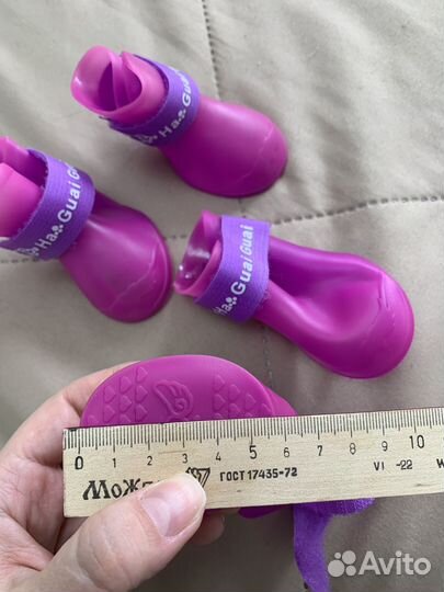 Обувь для собак