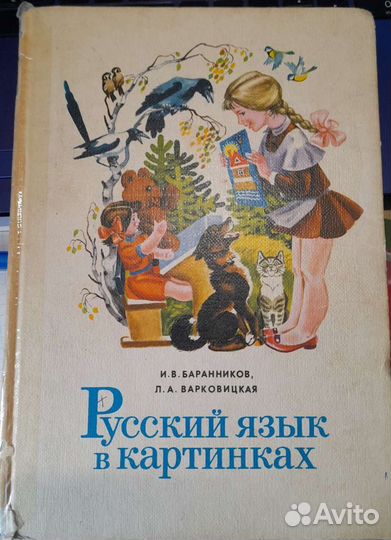 Русский язык в картинках