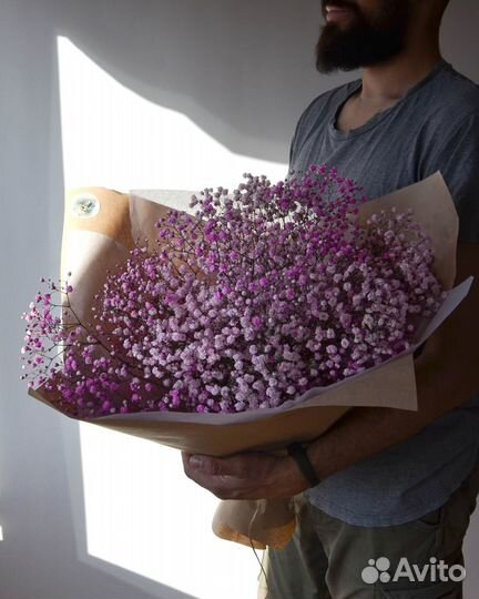 Гипсофила розовая цветы букеты с доставкой