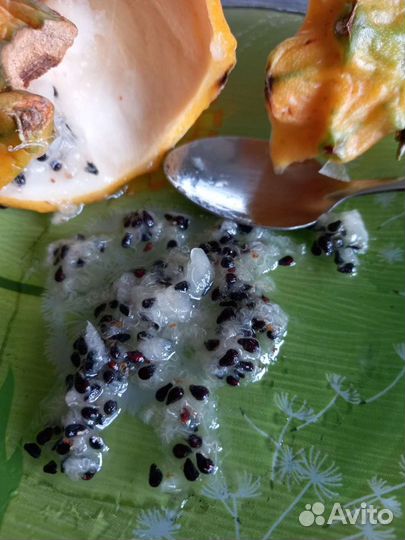 Гранадилла, питахайя, папайя семена