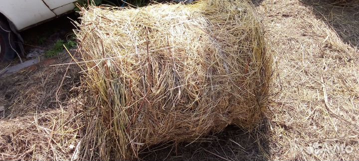 Сено в рулонах 2023