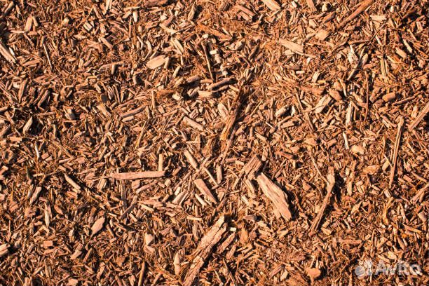 Древесная щепа