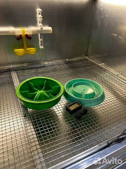 Брудер для цыплят