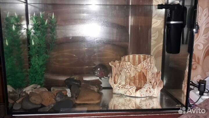 Аквариум