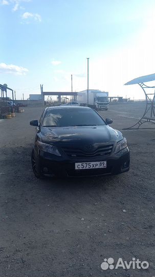 Услуга трезвый водитель