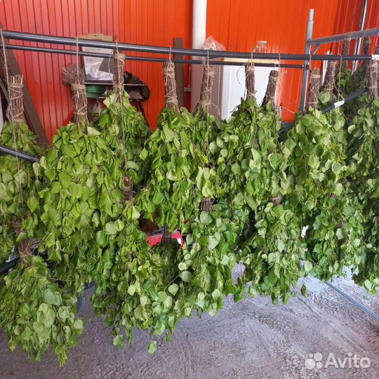 Веники для бани