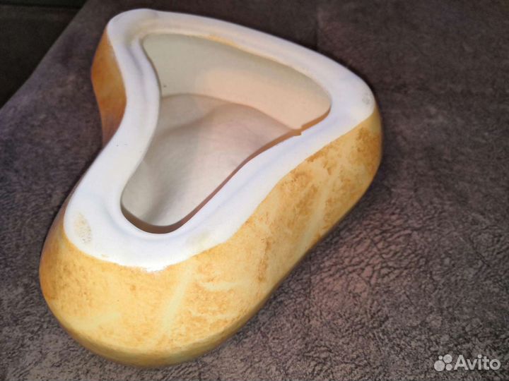 Ракушки декоративные