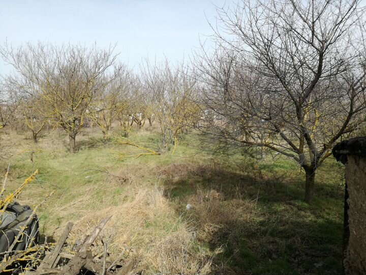 Дом 26,4 м² на участке 14,8 сот.