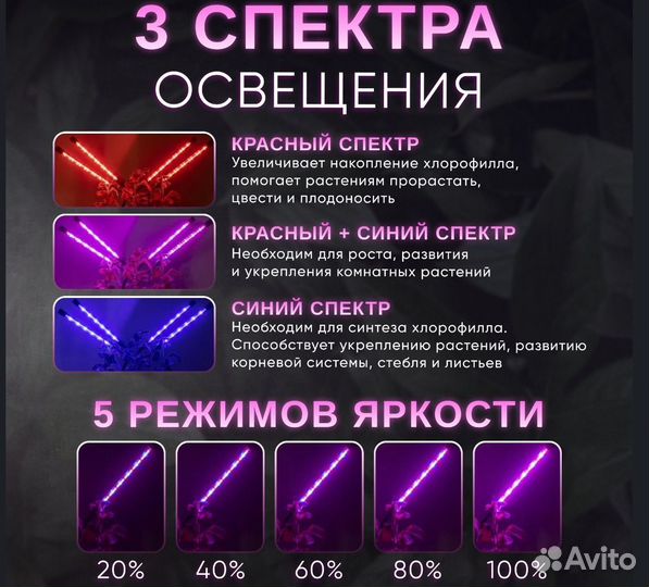 Фитолампа, лампа для рассады