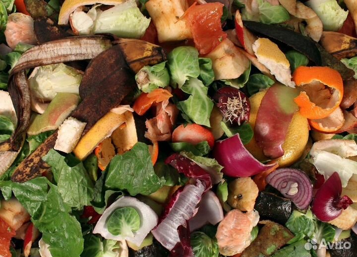 Пищевые отходы