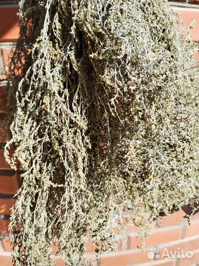 Мазь от псориаза