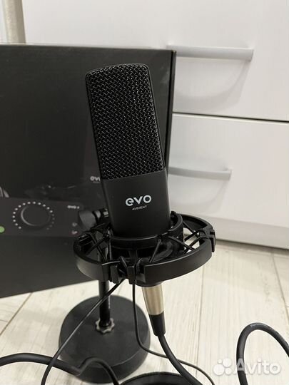 Микрофон со звуковой картой audient Evo 4