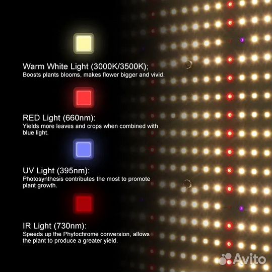 Кинг брайт 240w (д)