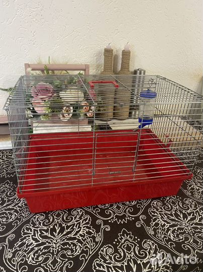 Клетка для грызунов
