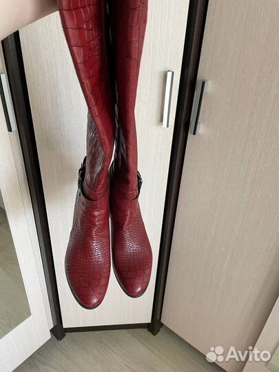 Сапоги ботфорты