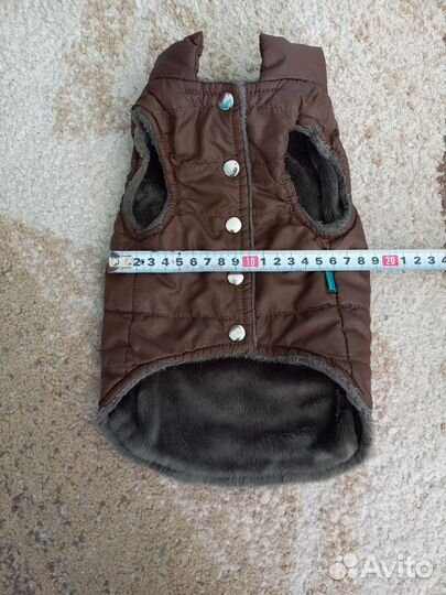 Одежда для маленьких собак