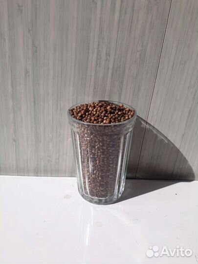 Семена кориандра (кинза)