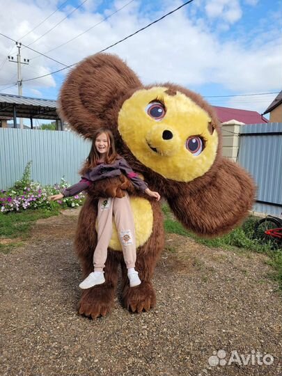 Ростовые куклы поздравление