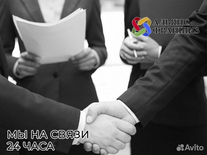 Профессиональное руководство от Альянса Франшиз