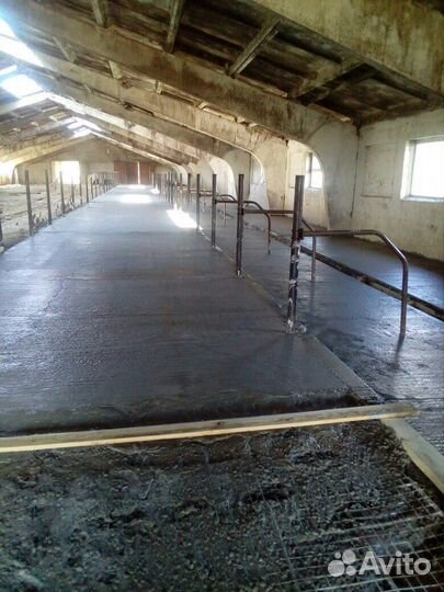 Стойла, беспривязь, привязь