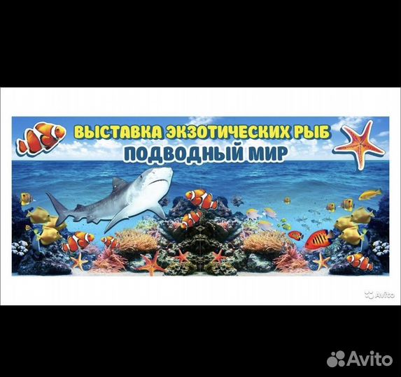 Продавец кассир