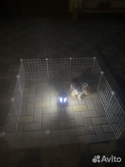 Вальер для животных