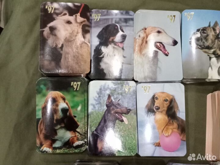 Карманные календарики с кошками и собаками