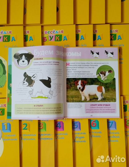 Коллекция развивающих книг Азбука