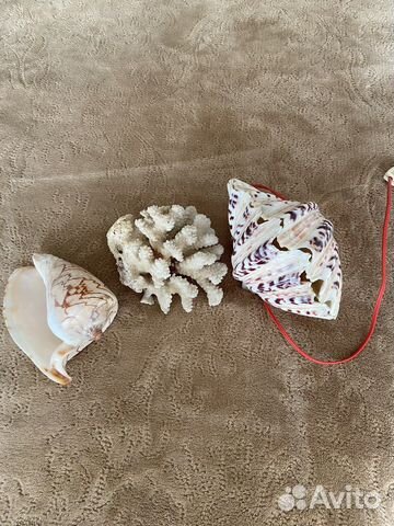 Ракушки декор