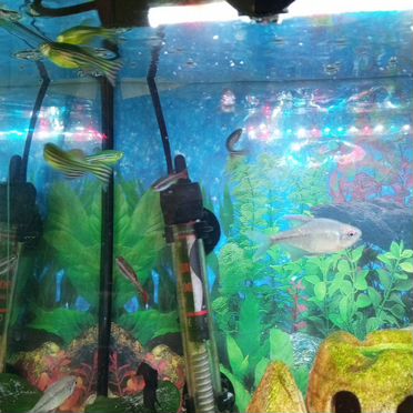 Аквариум с рыбками и оборудованием