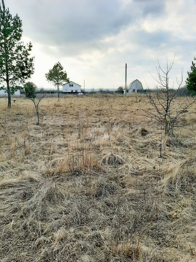 Участок 15 сот. (СНТ, ДНП)