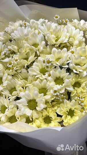 Букет из хризантем