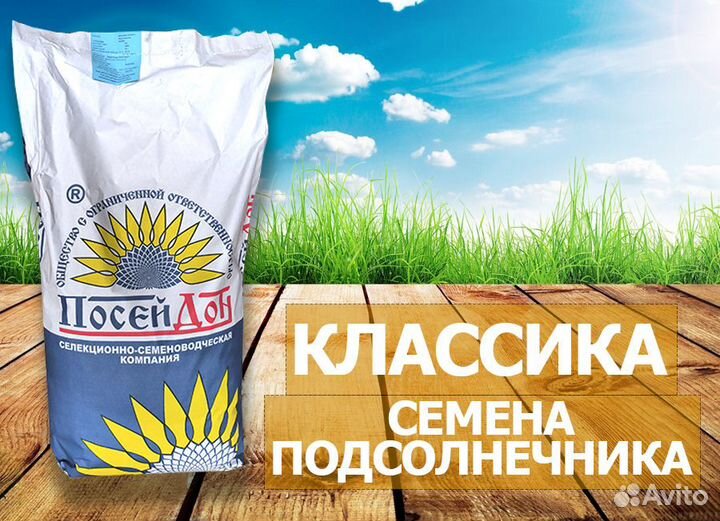 Семена подсолнечника Витязь (Заразиха F-G)