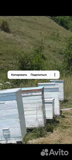 Пчелинные улья И мед