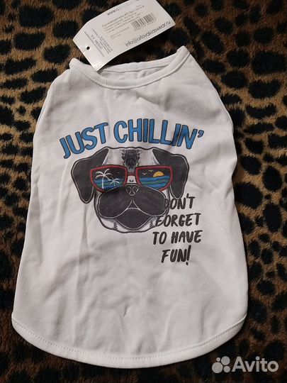 Одежда для собак