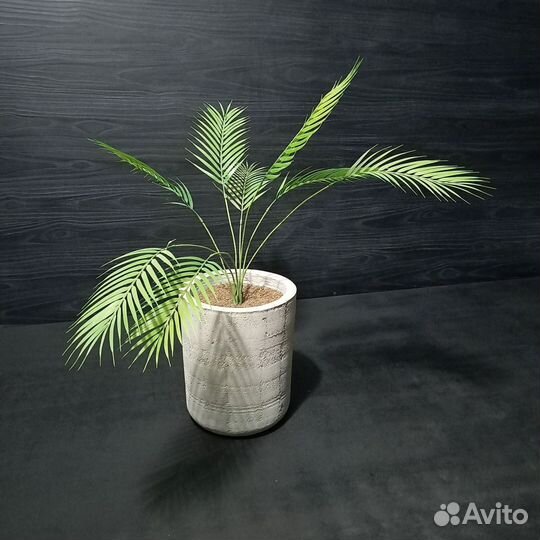 Горшки, Вазоны, Кашпо под заказ из бетона