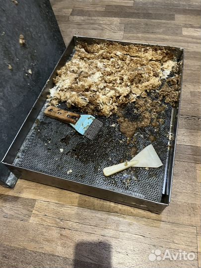Поддоны для обработки сот рчелиных с коышкой