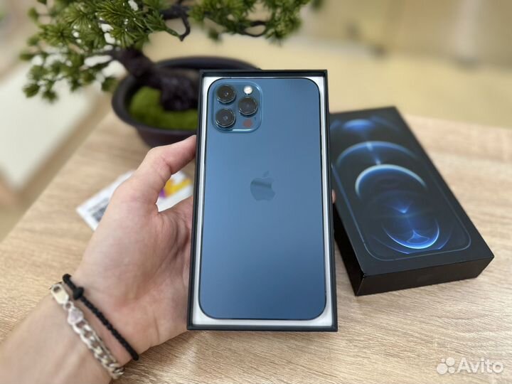 iPhone 12 Pro Max, 256 ГБ
